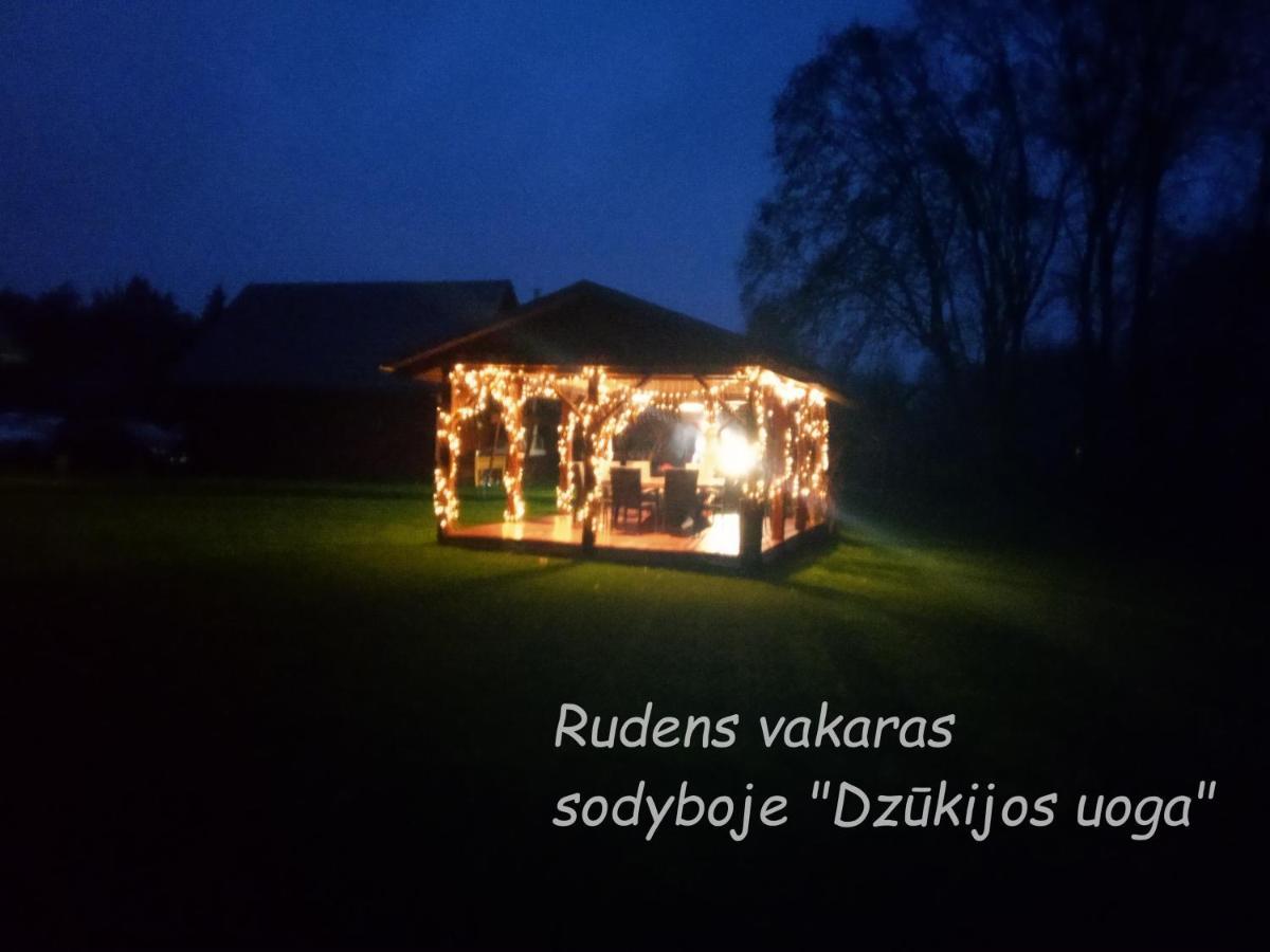 Maison d'hôtes Dzukijos Uoga à Virsurodukis Extérieur photo